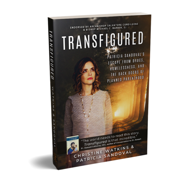 Transfigured book Patricia Sandoval